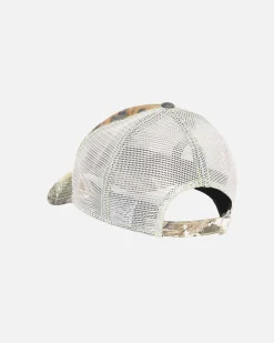 Headwear><noscript><img width=